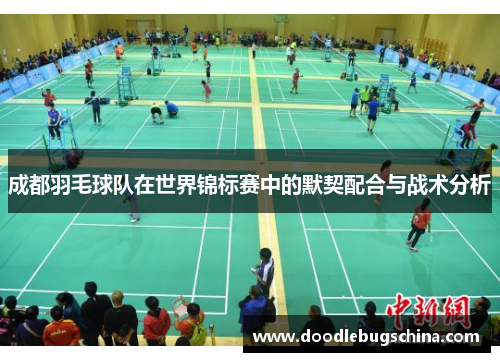 成都羽毛球队在世界锦标赛中的默契配合与战术分析