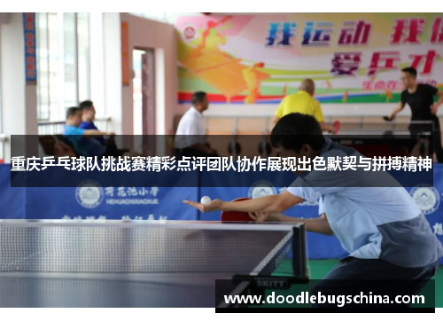 重庆乒乓球队挑战赛精彩点评团队协作展现出色默契与拼搏精神