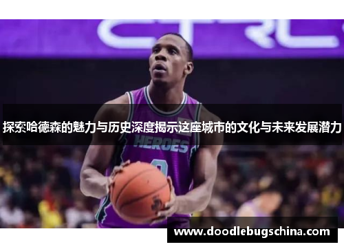 探索哈德森的魅力与历史深度揭示这座城市的文化与未来发展潜力