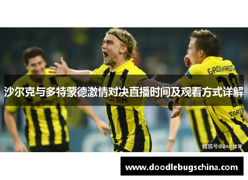 沙尔克与多特蒙德激情对决直播时间及观看方式详解