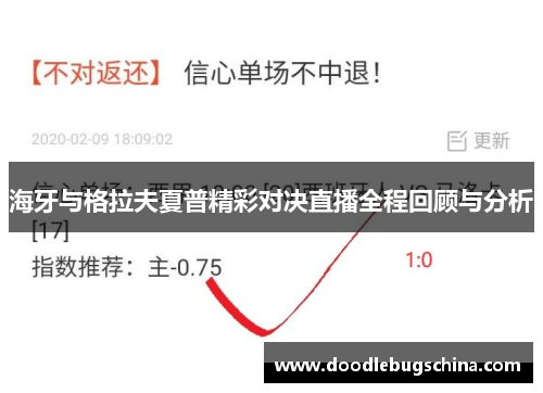 海牙与格拉夫夏普精彩对决直播全程回顾与分析